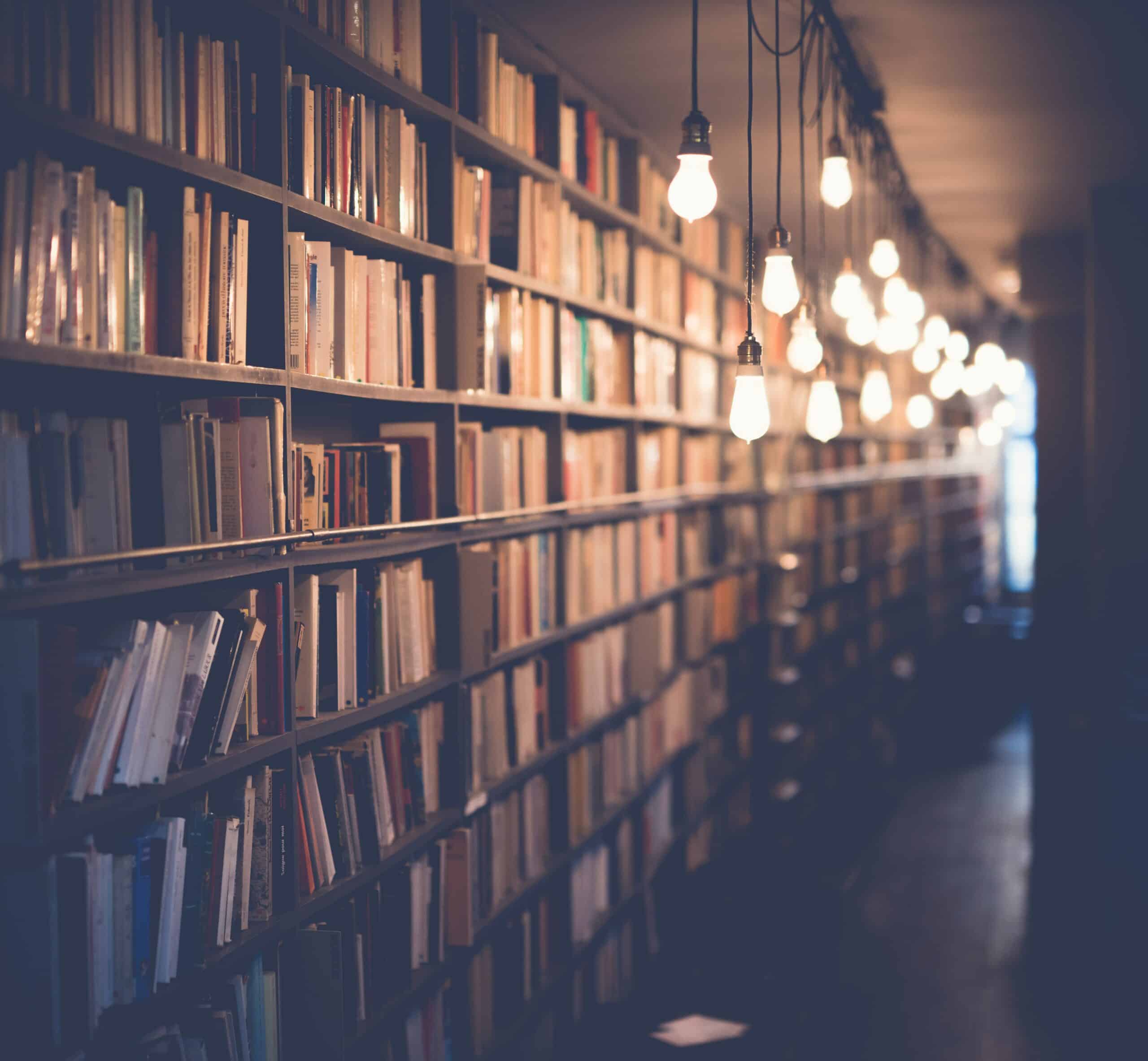 Floor to ceiling bookshelf filled with books and dimly lit by string lights handing from the ceiling.
